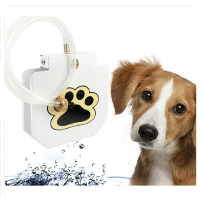 Source D' Eau pour Chiens à L' Extérieur , Résistante aux Coups de Pied , avec Raccordement à L' Eau et Activation des Pattes