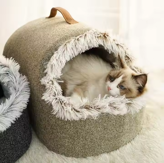 Lit De Maison Pour Chats Avec Bord Moelleux Pour Un Confort Ultime