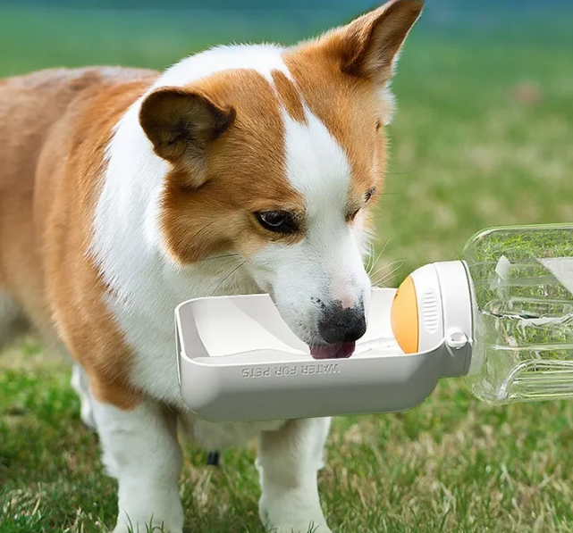 Bouteille 2 en 1 pour Chiens - Bouteille D' Eau avec Gamelle pour les Déplacements