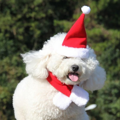 Casquette de Noël avec Écharpe pour Animaux Domestiques