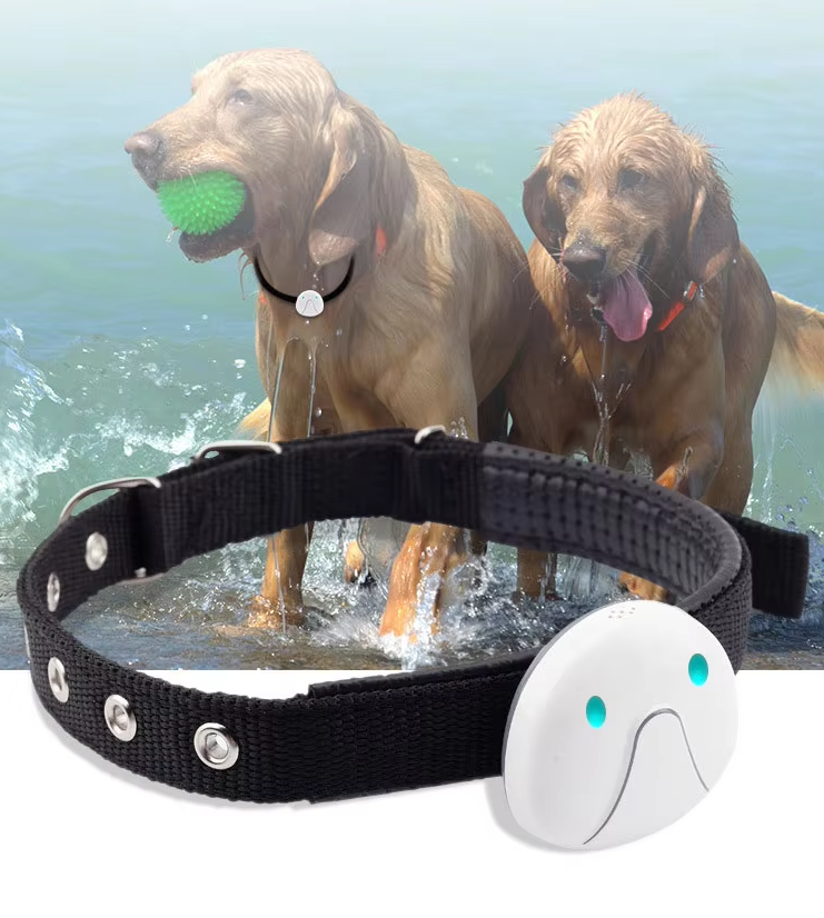 Collier De Chien Avec Traceur Gps - Facile À Attacher Et Fiable