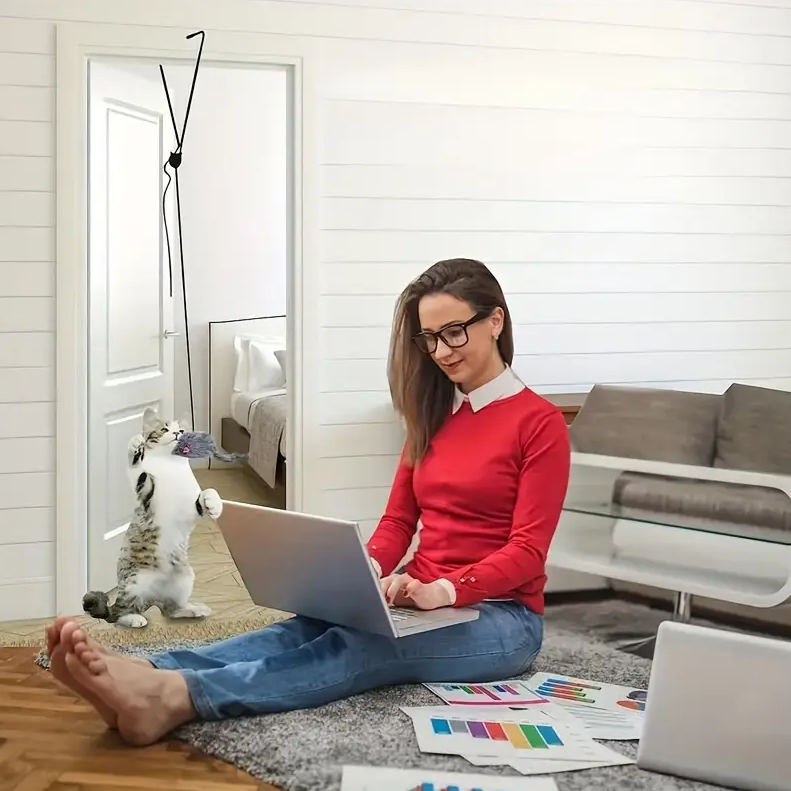 Jouets Interactifs Pour Chats - Jouet Souris Avec Cordon À Tirer