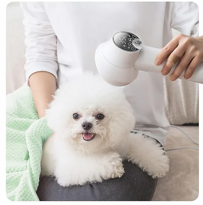 Sèche - Cheveux avec Écran Digital - Contrôle Intelligent de la Température pour un Séchage Rapide et en Douceur