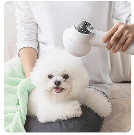 Sèche - Cheveux avec Écran Digital - Contrôle Intelligent de la Température pour un Séchage Rapide et en Douceur