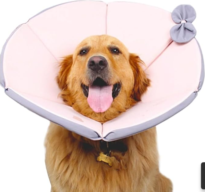Collier De Protection Confortable Pour Chien