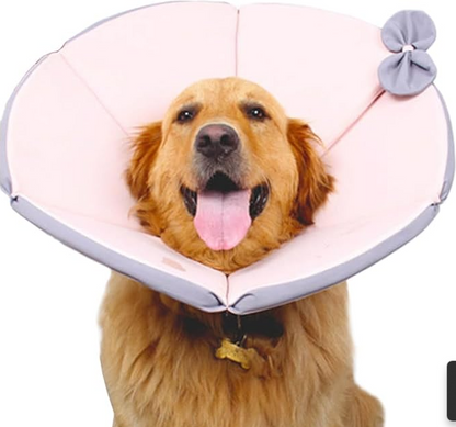 Collier De Protection Confortable Pour Chien