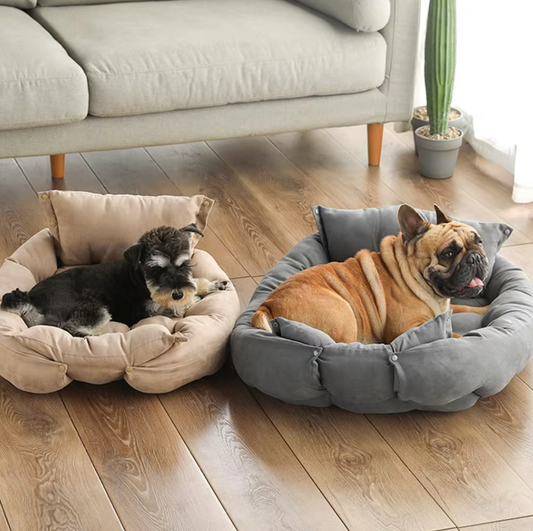 Lit pour Chien Douillet avec Coussin - Lit pour Animaux Doux et Lavable pour Chiens et Chats
