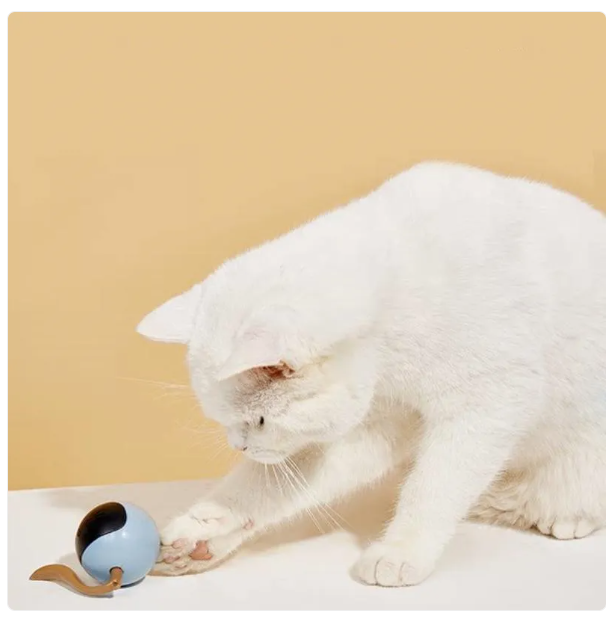 Jouet Interactif pour Chats avec Lumières Led - Jouet en Forme de Boule pour Chats