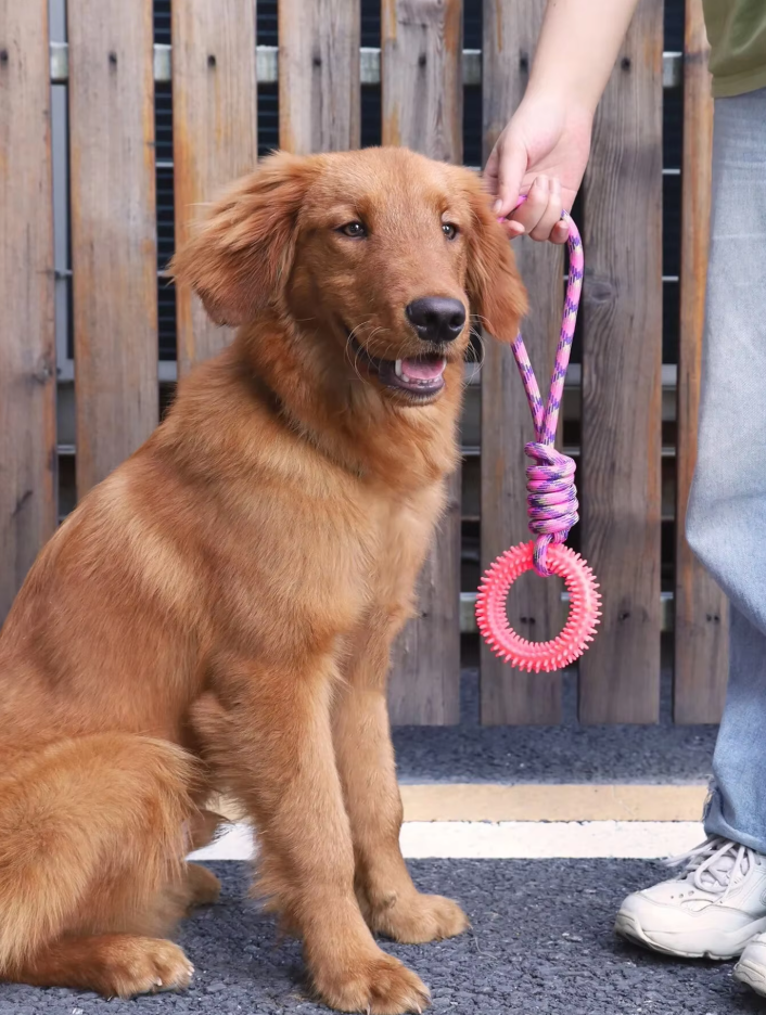 Jouet Pour Chien Robuste Avec Anneau De Dentition - Jouet À Mâcher Corde À Déchirer Pour Un Plaisir Interactif
