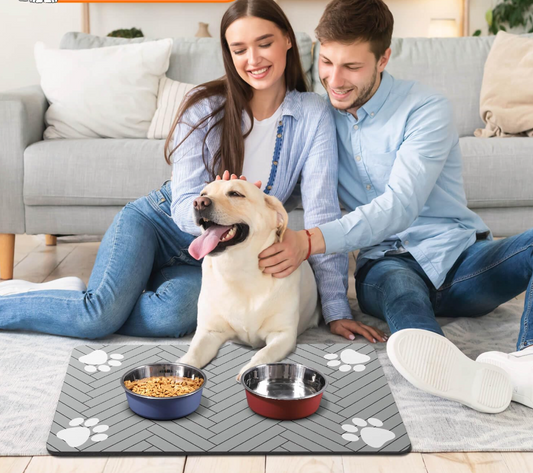 Matériel pour Chiens pour la Nourriture et L' Eau