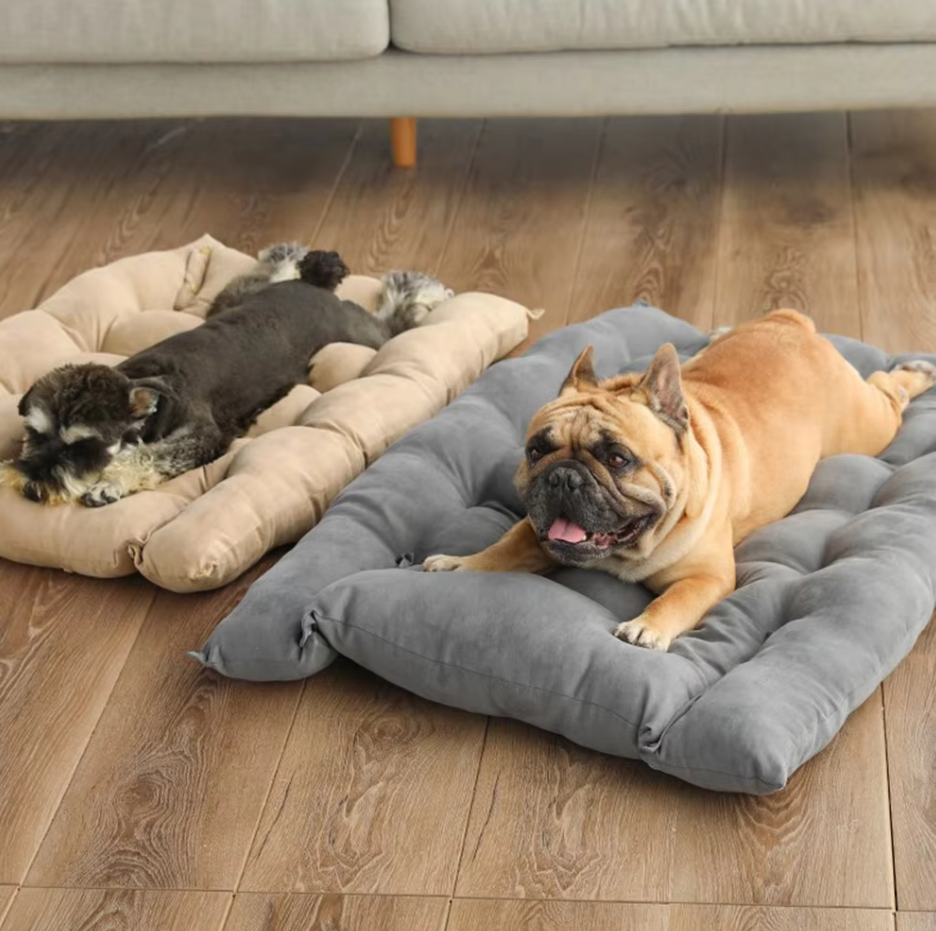 Lit pour Chien Douillet avec Coussin - Lit pour Animaux Doux et Lavable pour Chiens et Chats