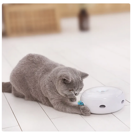 Jouets Interactifs Pour Chats - Jouet Automatique Avec Plumes Arc-en-ciel