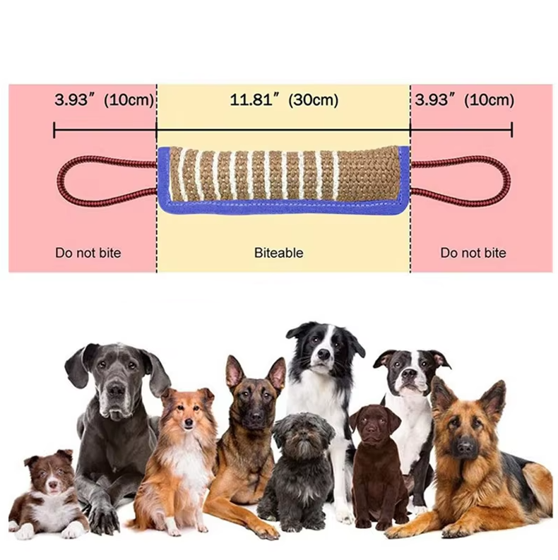 Saucisse à Croquer pour Chiens - Jouet D' Entraînement Robuste en Jute avec Poignées pour Chiots Chiens Adultes