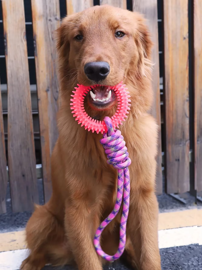 Jouet Pour Chien Robuste Avec Anneau De Dentition - Jouet À Mâcher Corde À Déchirer Pour Un Plaisir Interactif