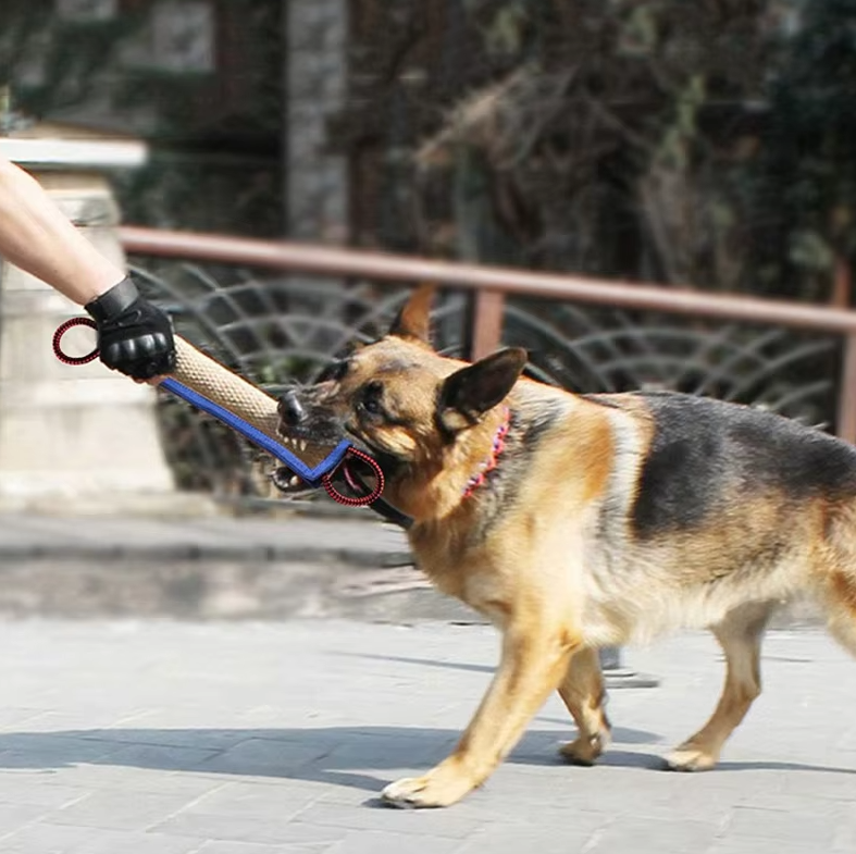 Saucisse à Croquer pour Chiens - Jouet D' Entraînement Robuste en Jute avec Poignées pour Chiots Chiens Adultes