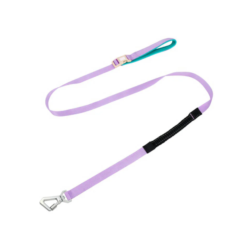 Harnais Anti-traction Pour Chiens Avec Laisse Réglable