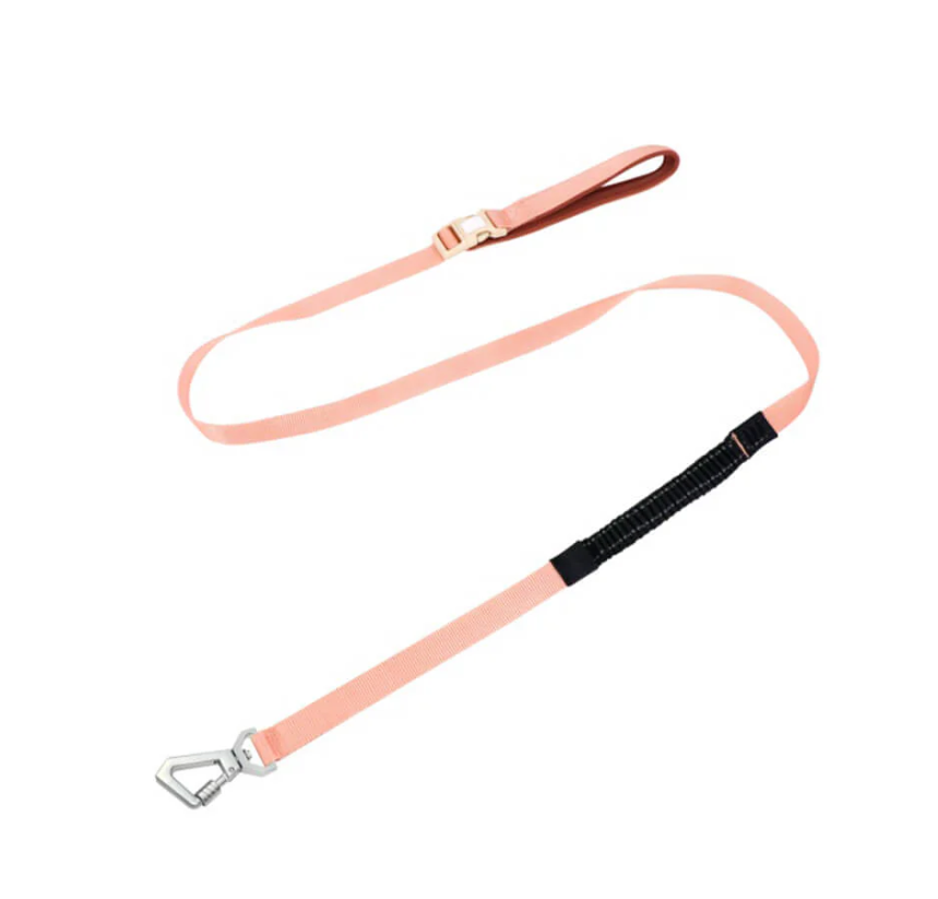 Harnais Anti-traction Pour Chiens Avec Laisse Réglable