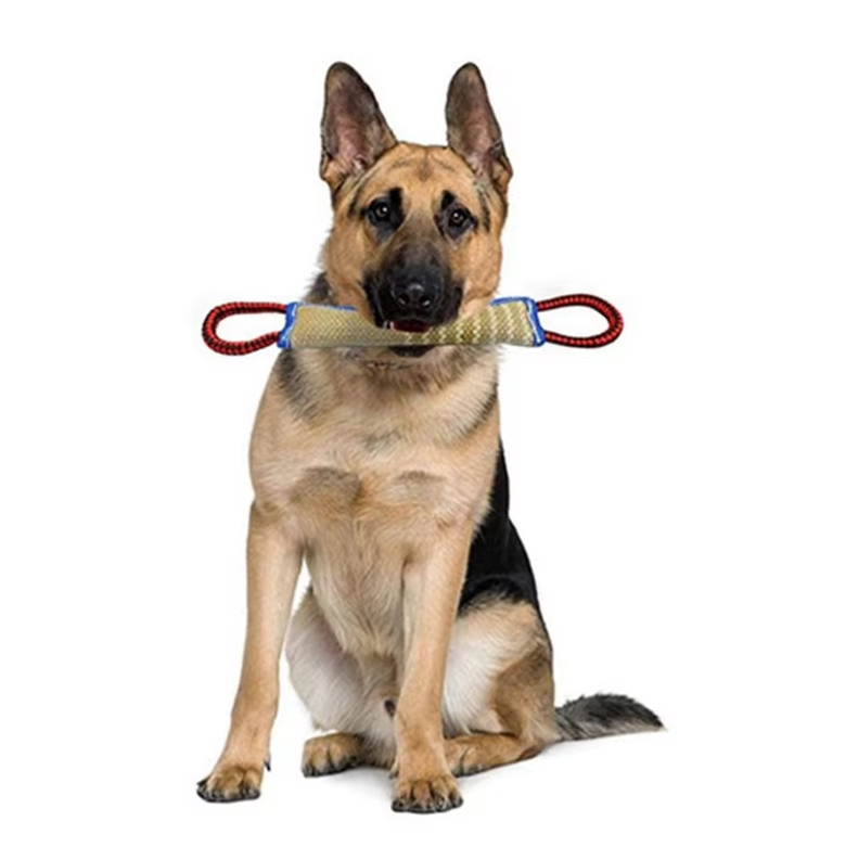 Saucisse à Croquer pour Chiens - Jouet D' Entraînement Robuste en Jute avec Poignées pour Chiots Chiens Adultes