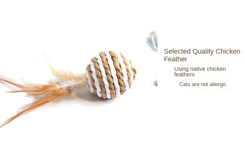 Jouets Interactifs pour Chats - Jouets Naturels avec Plumes et Clochettes