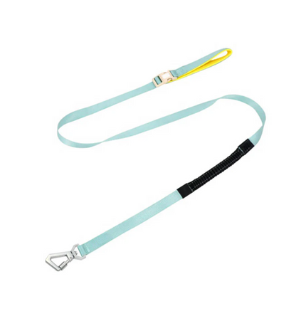 Harnais Anti-traction Pour Chiens Avec Laisse Réglable