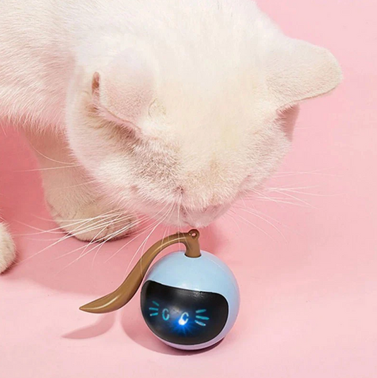Jouet Interactif pour Chats avec Lumières Led - Jouet en Forme de Boule pour Chats