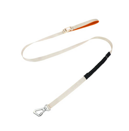 Harnais Anti-traction Pour Chiens Avec Laisse Réglable