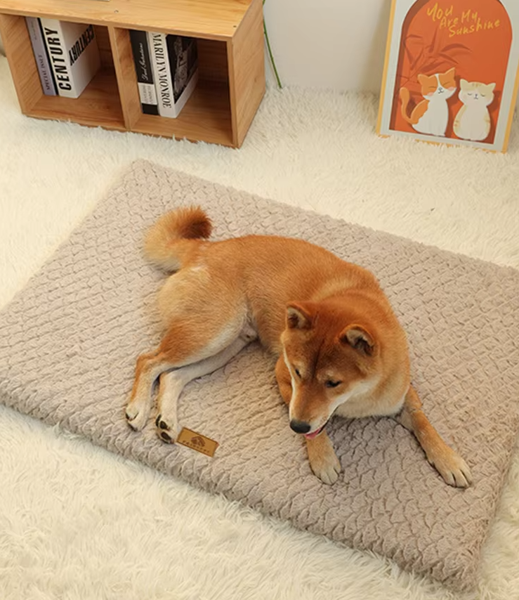 Lit Orthopédique pour Chiens - Tapis Moelleux pour Chiens et Chats