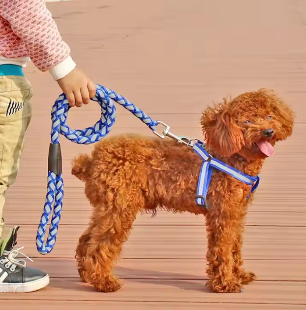 Harnais Réfléchissant Pour Chien Avec Laisse