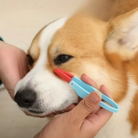 Pince à Tiques pour Animaux Domestiques - Élimination Précise et en Douceur