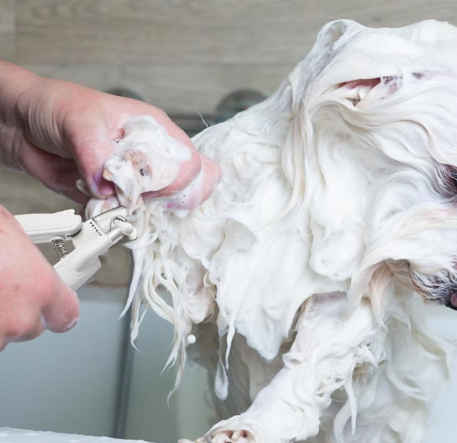 Soins des Griffes Électroniques pour les Animaux de Compagnie - Coupe de Précision des Griffes pour les Chiens et les Chats