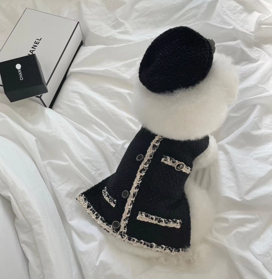 Collier De Chien Élégant Avec Un Petit Chapeau Chic Et Une Application De Fleurs - Design À La Mode Pour Ton Compagnon À Quatre Pattes