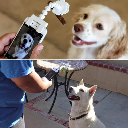 Selfie - Stick pour Animaux de Compagnie avec Support pour Friandises