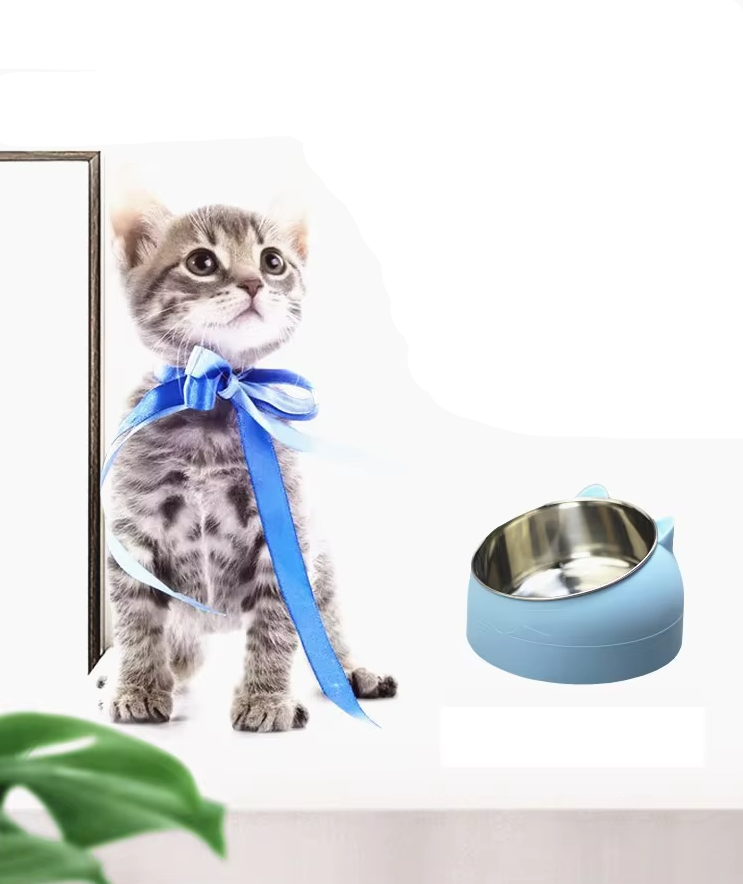 Écuelle pour Chat Inclinée à 15 Degrés pour une Alimentation Confortable