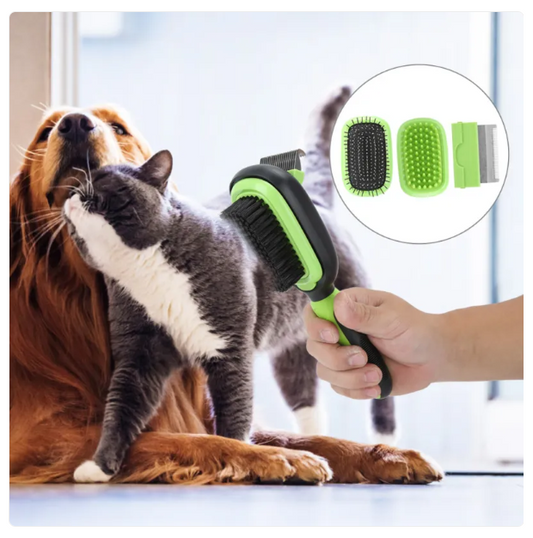Brosse pour Chiens et Chats avec Peigne Amovible - Brosse 2 en 1 pour un Toilettage en Douceur