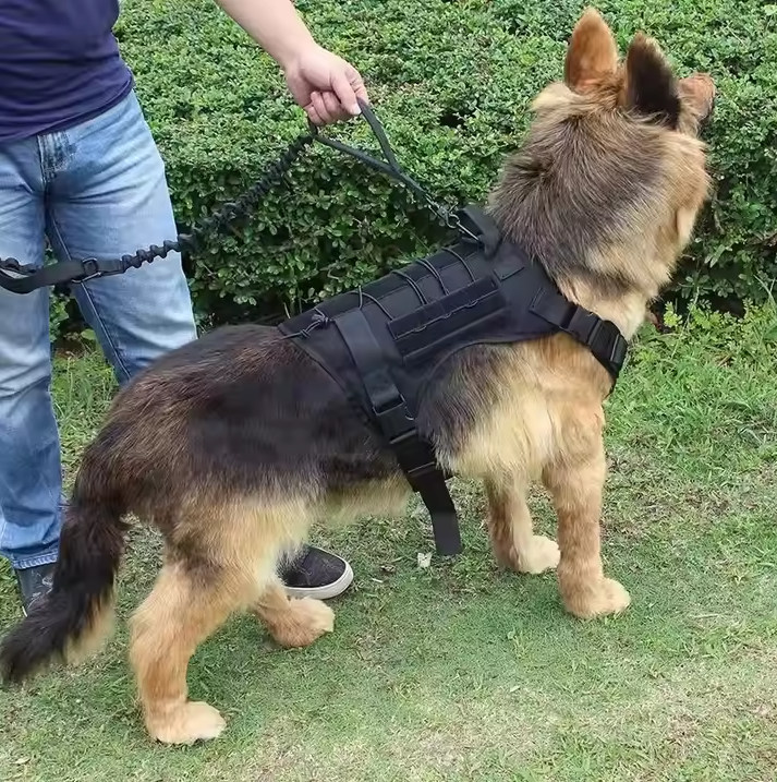Harnais Tactique Pour Chiens Avec Poches Et Laisse Pour L' Entraînement Et L' Utilisation En Extérieur
