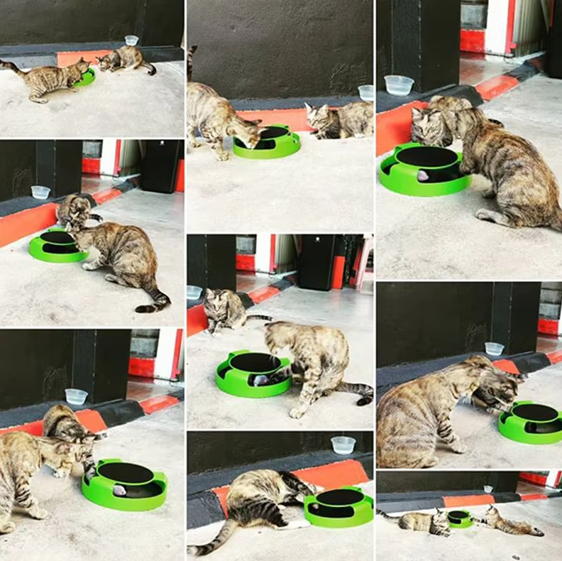Jouets Interactifs pour Chats avec Souris - Jouet avec Souris Mobile pour Chats
