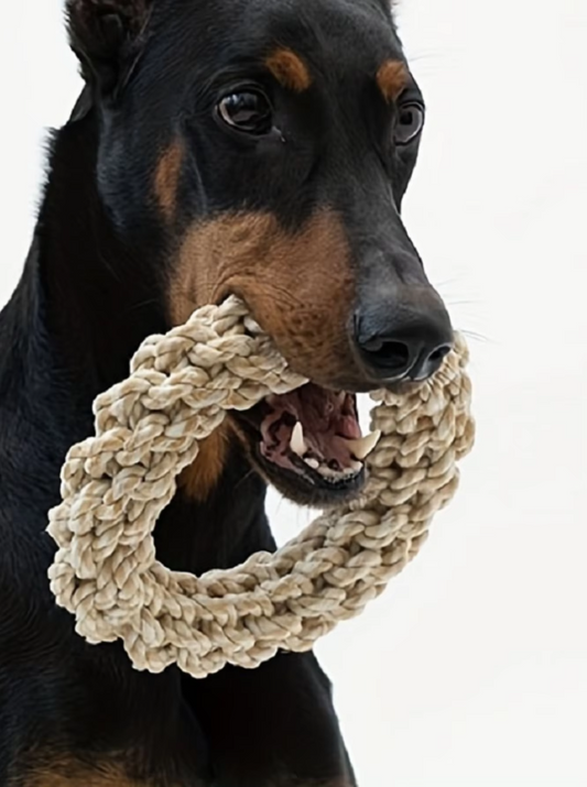 Anneau à Mâcher Robuste pour Chiens - Jouet en Corde Naturelle pour des Gencives Saines