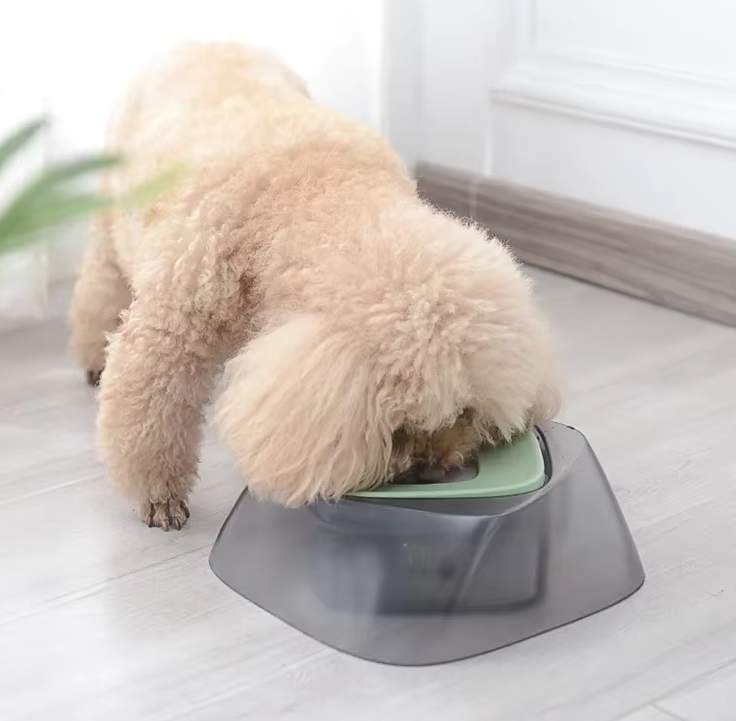 Écuelle Surélevée pour Chiens avec Fond Antidérapant