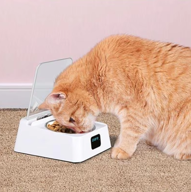 Distributeur Automatique de Nourriture pour Chats avec Affichage Numérique et Couvercle
