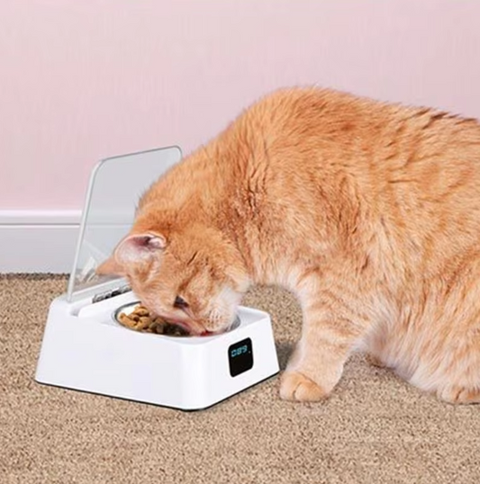 Distributeur Automatique de Nourriture pour Chats avec Affichage Numérique et Couvercle