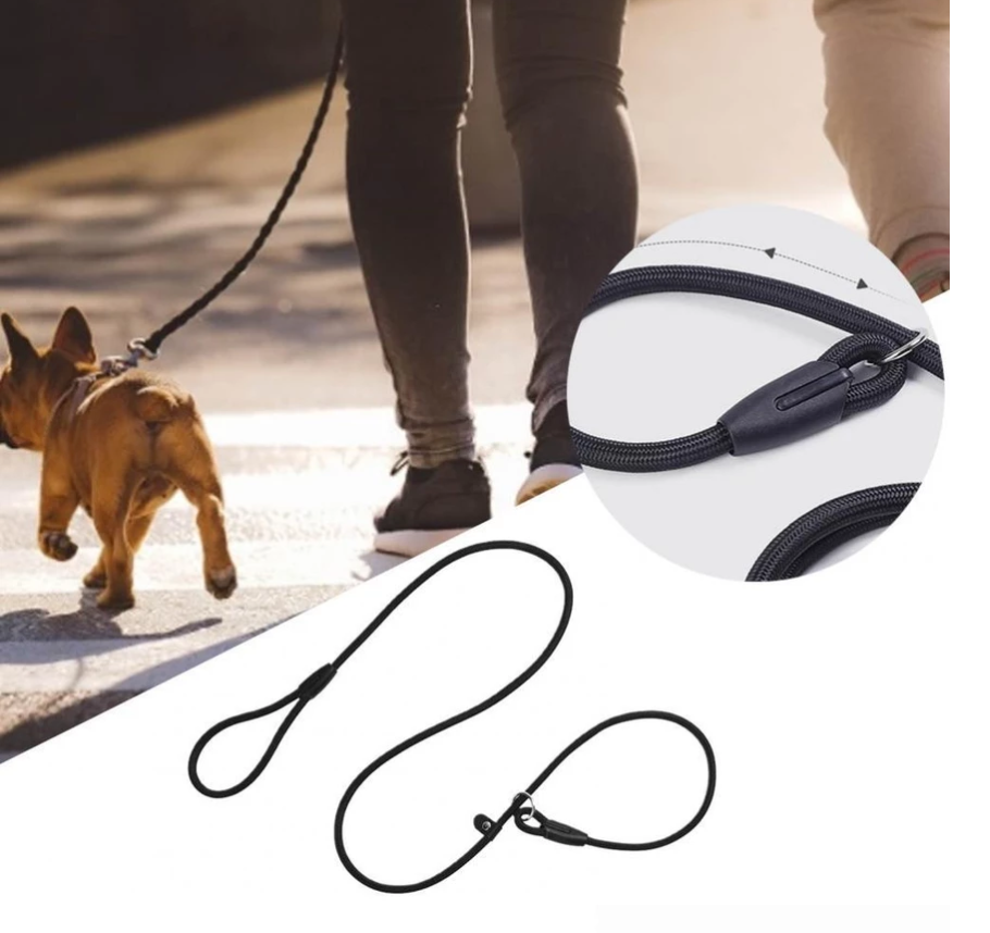 Laisse De Chien En Corde Résistante Avec Mousqueton Pour Une Promenade En Toute Sécurité