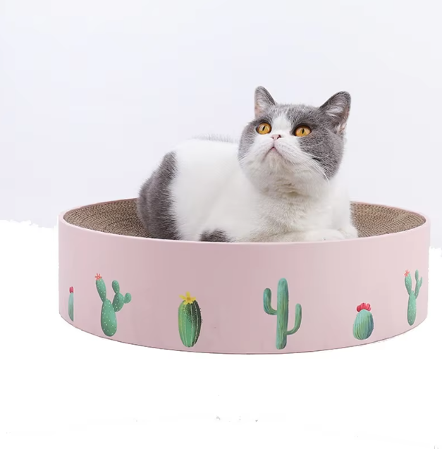 Boucle en Carton pour Chat avec Design Cactus - Griffoir de Style Moderne
