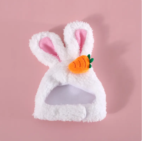 Chapeau pour Chat avec Oreilles de Lapin et Design Carotte ou Fleur pour des Photos Adorables de Compagnons