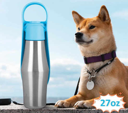 Bouteille en Acier Inoxydable pour Chiens - Distributeur D' Eau Portable avec Bol Pliable