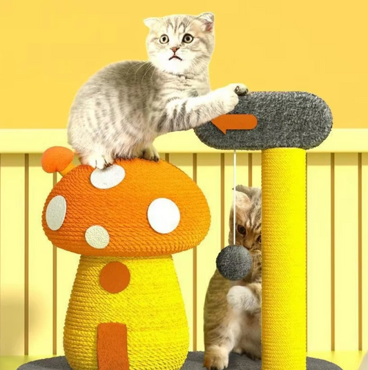 Jouets pour Chats Arbre à Chat en Forme D' Oiseau ou de Champignon - Station de Jeu Interactive pour Chats