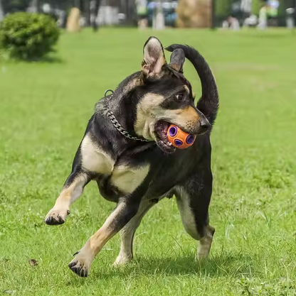 Jouet Interactif Balle pour Chien - avec Musique et Fonction Lumineuse pour Chiens