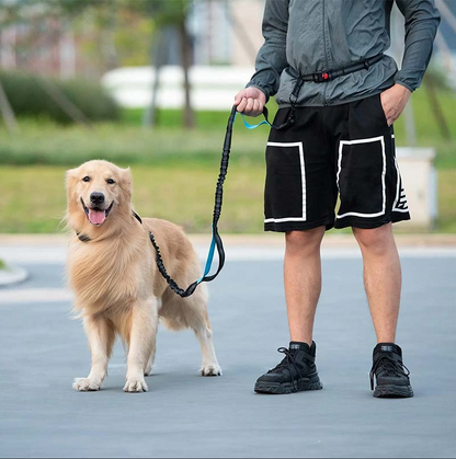 Laisse pour Chien Mains - Libres avec Poche Ventrale