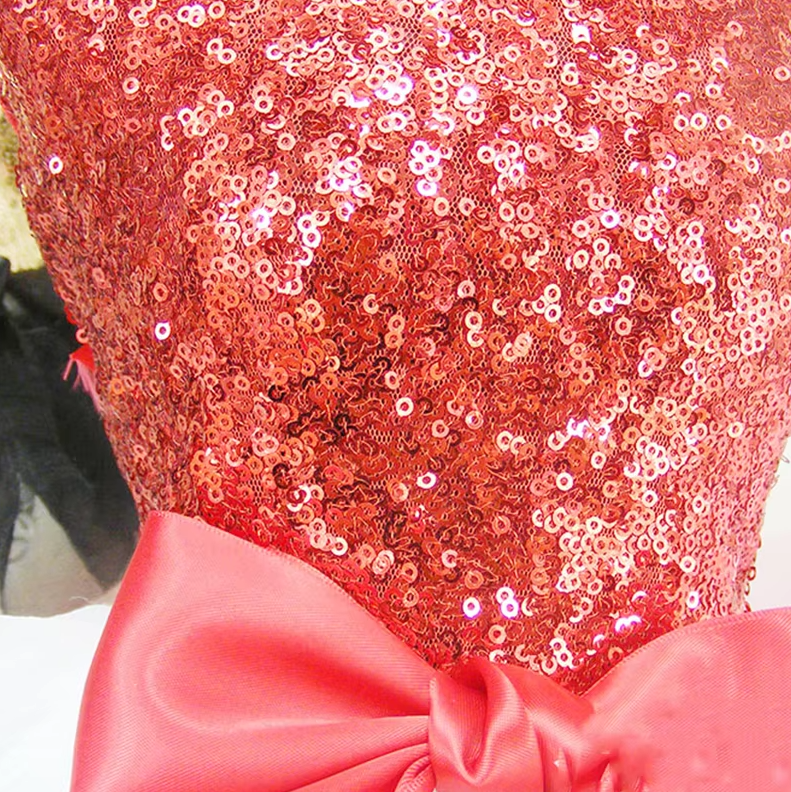 Elégante Robe Pour Chien Avec Paillettes Et Jupe En Tulle En 2 Coloris