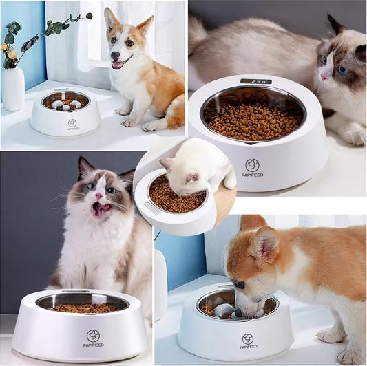 Distributeur Automatique de Nourriture pour Chiens et Chats - Mangeoire Interactive avec Affichage Numérique