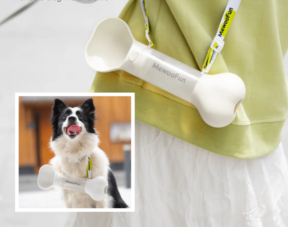 Gourde Pour Chien En Forme D'os - Distributeur D'eau Portable Avec Écuelle